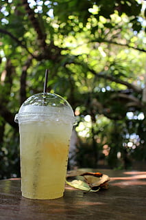Cup of iced lemon tea outside on a table in a tropical garden HD wallpaper