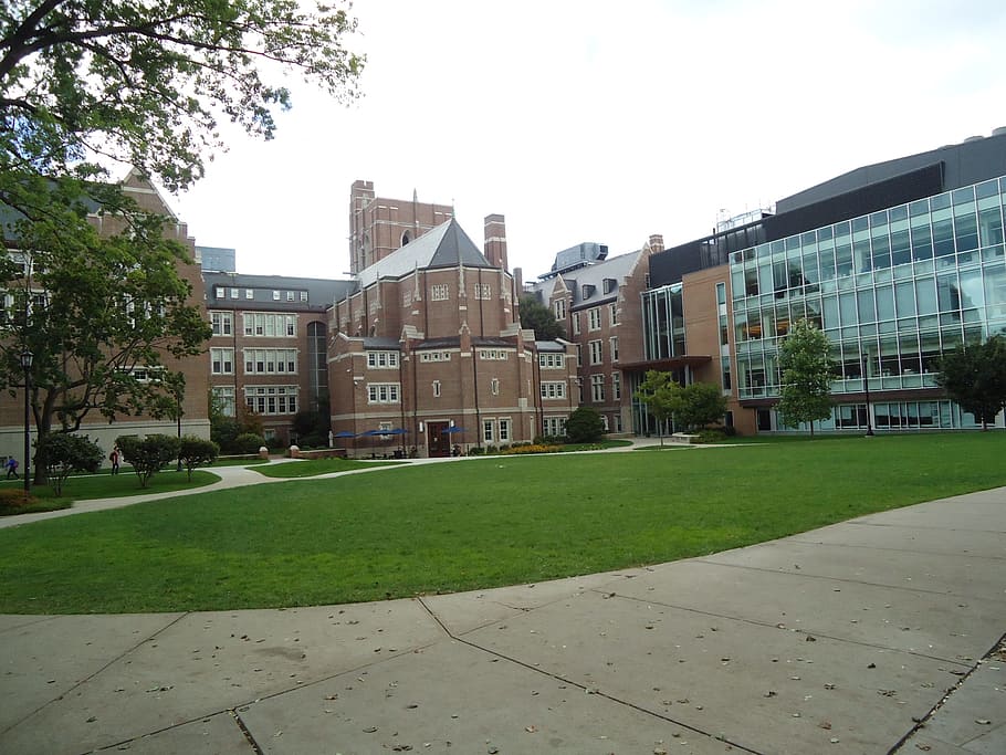 college, Boston, trees, emmanuel, campus, quad, brick, grass HD wallpaper