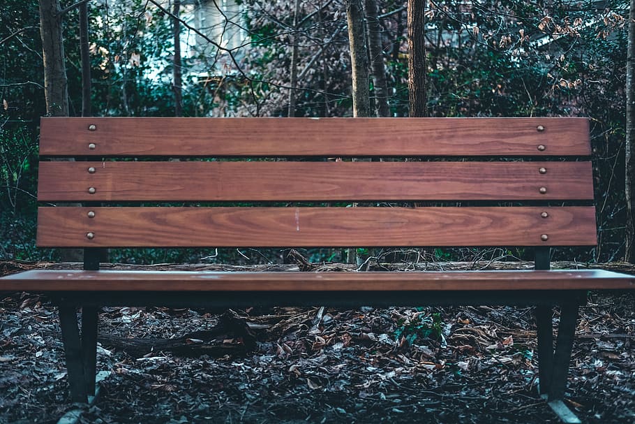 forest, bench, wood, winter, park, wood - material, seat, tree HD wallpaper