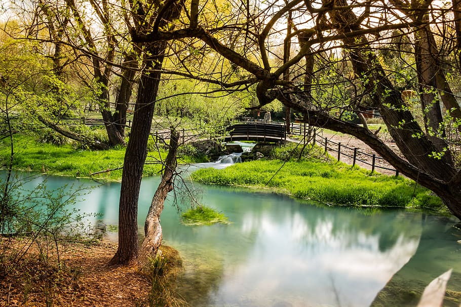 Рек парк. River in the Park.