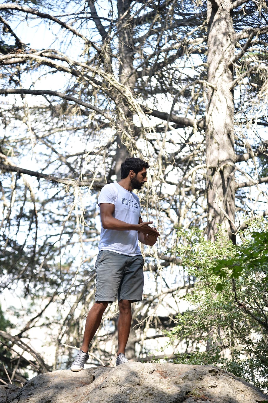 lebanon, tree, one person, plant, full length, casual clothing HD wallpaper