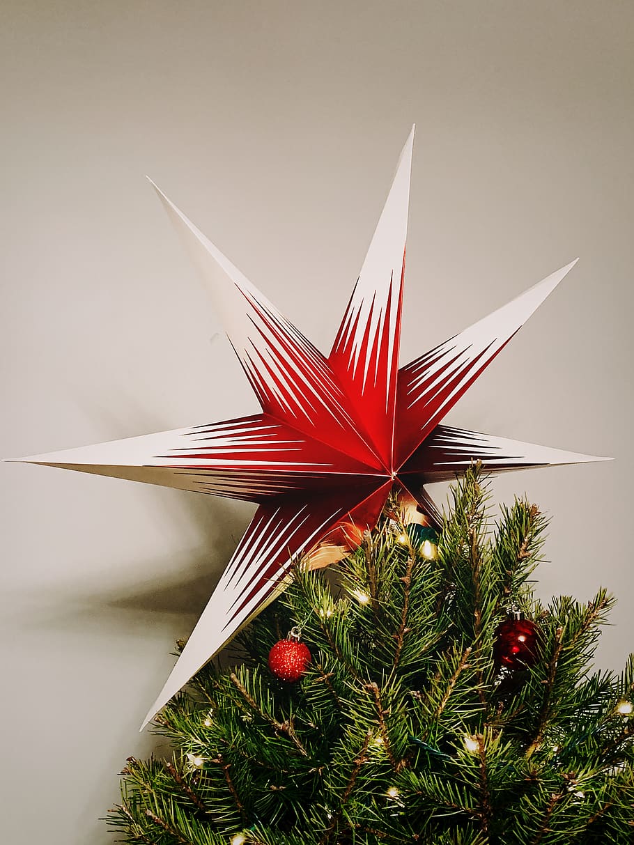 Star, Christmas Tree, close-up, red, holiday, no people, decoration HD wallpaper