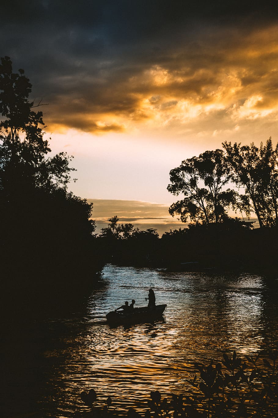 Silhouette of Persons on Boat Near Trees, backlit, beautiful HD wallpaper