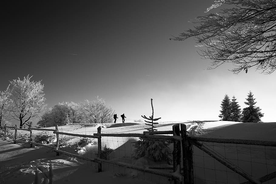 fence, snow, winter, trees, plant, travel, people, hiking, mountain HD wallpaper