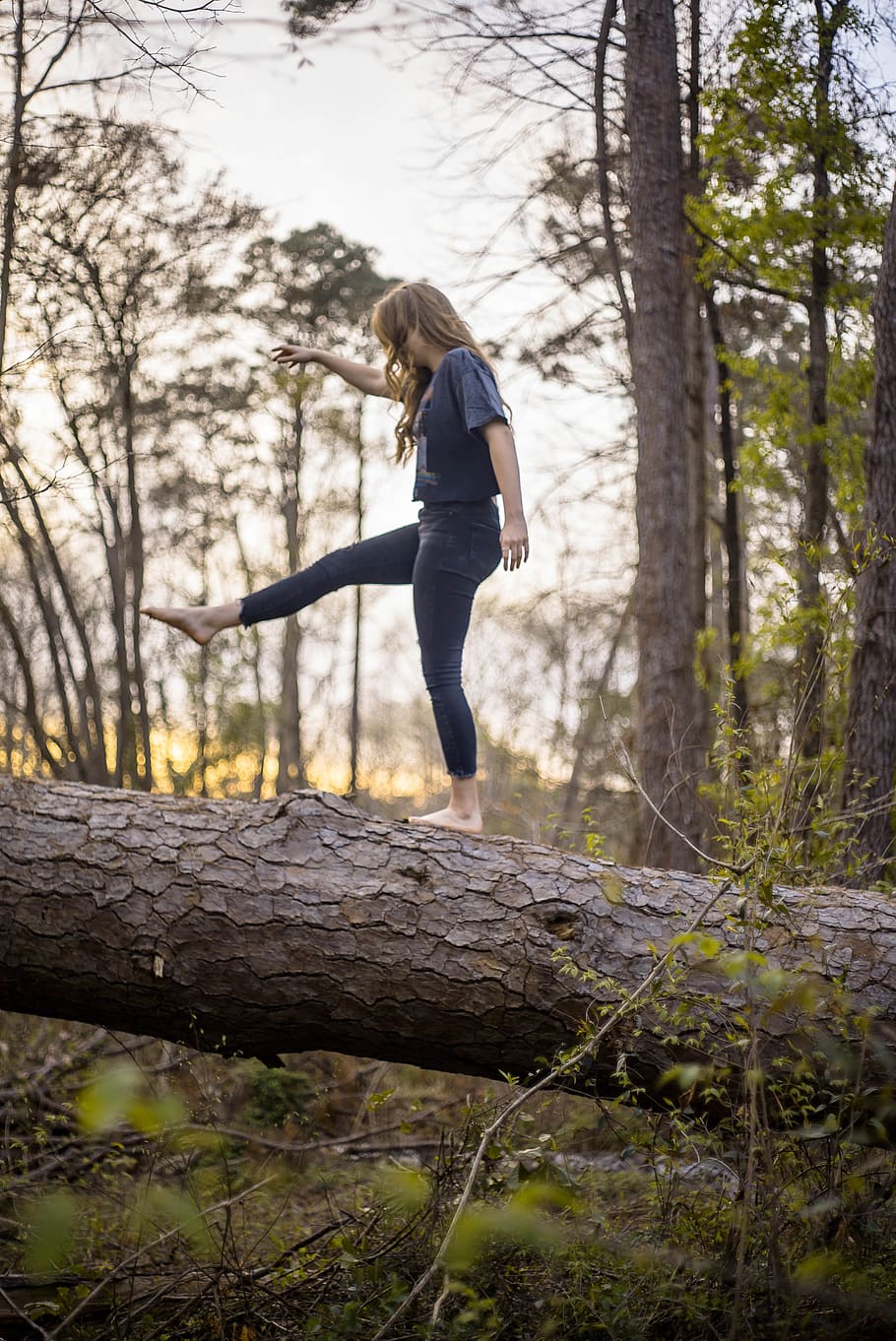 woman balancing on log, tree, full length, one person, plant HD wallpaper