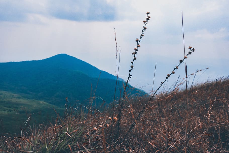 mountain, outdoors, mountain range, nature, grass, mon chong HD wallpaper