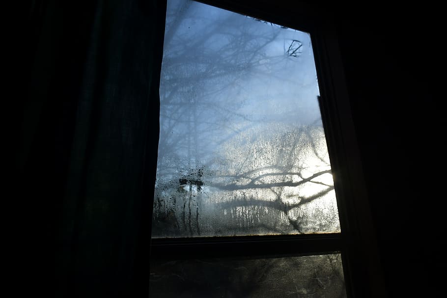 window, home decor, building, architecture, flare, light, nature HD wallpaper