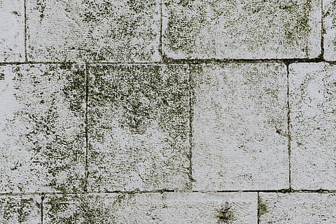Old brick and stone pavements, bricks, background, paving, backgrounds HD wallpaper