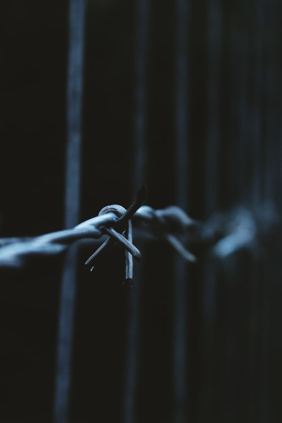 Barbed Wire, depth of field, fence, metal, sharp, security, safety HD wallpaper