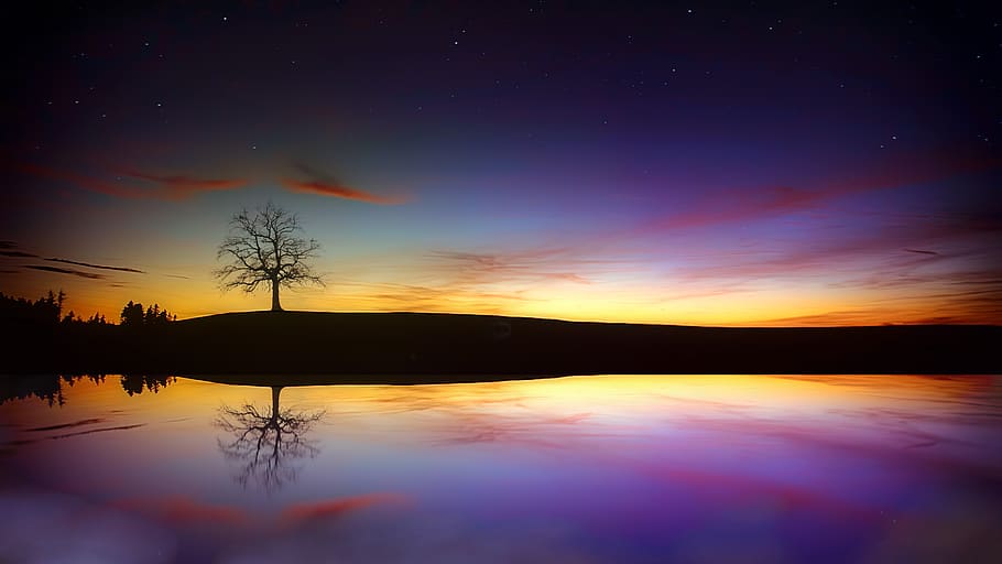 tree, lake, twilight, sunset, autumn, rest, star, night, sky HD wallpaper