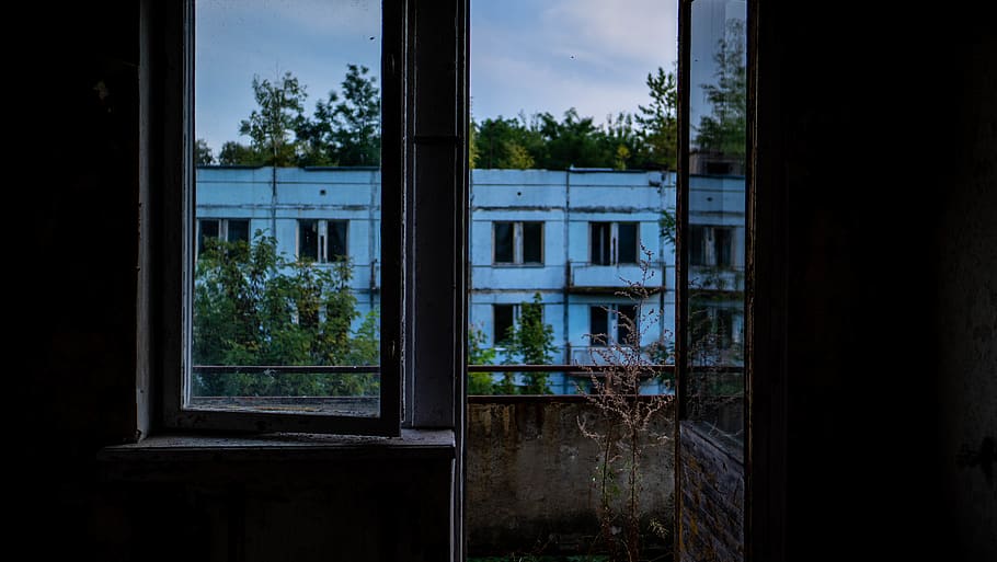 blue concrete house, window, architecture, plant, building, tree HD wallpaper