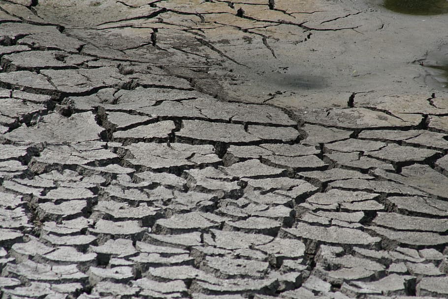mud, cracks, drought, full frame, backgrounds, cracked, dry HD wallpaper