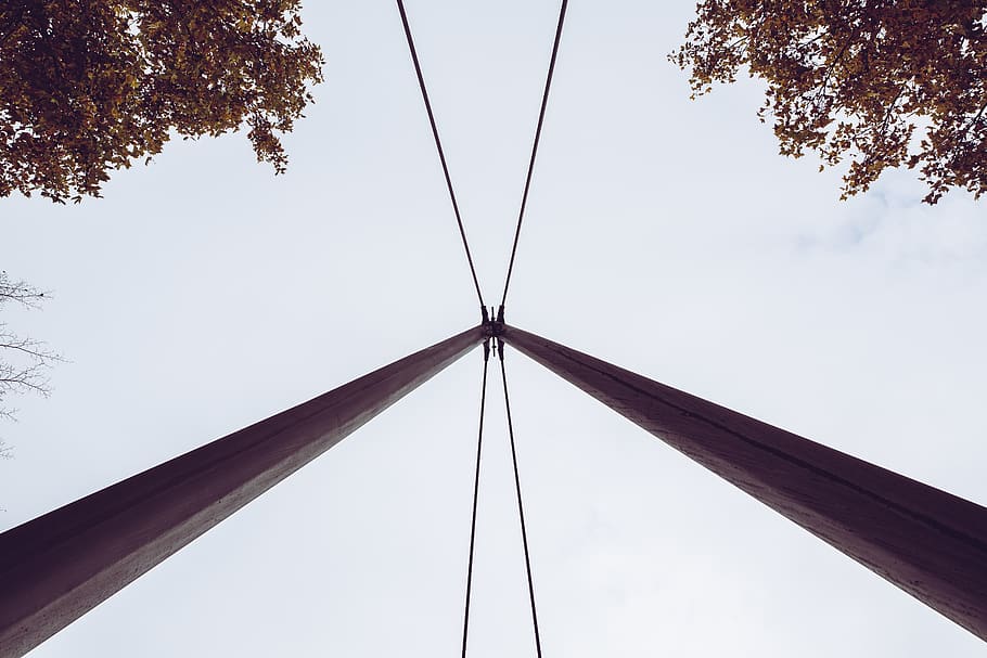 tree, electrical device, antenna, building, architecture, utility pole HD wallpaper