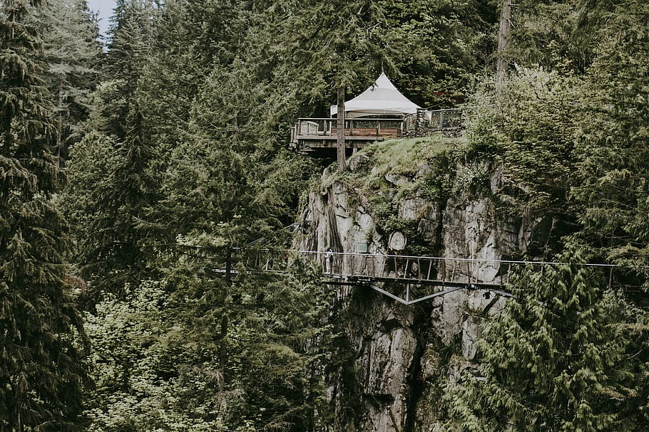 white canopy tent surrounded by green trees, house, tree house HD wallpaper