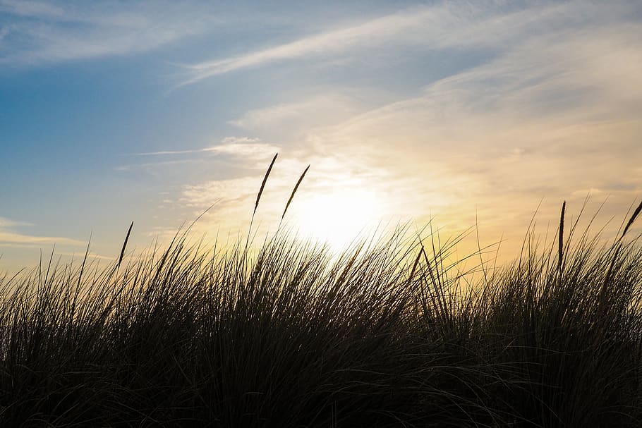 HD wallpaper: united states, orick, gold bluffs beach, clouds, grass ...