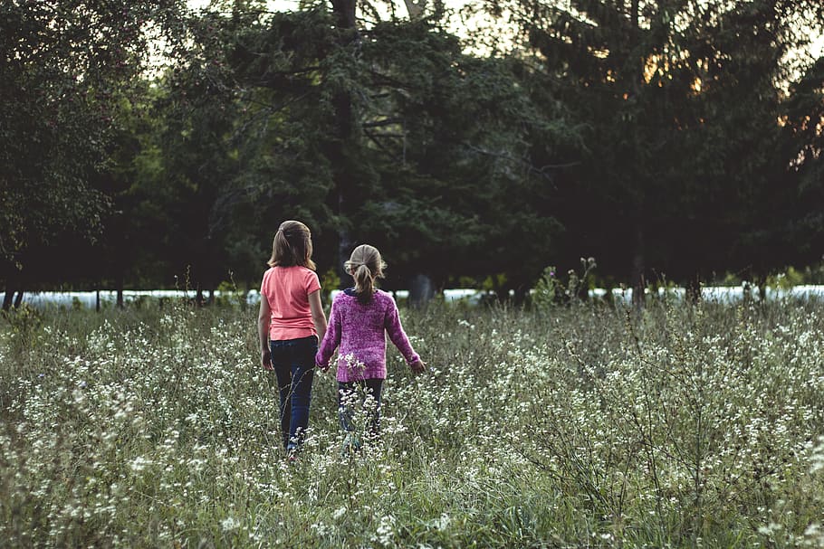 field, grass, trees, flowers, girls, play, sunset, sisters HD wallpaper
