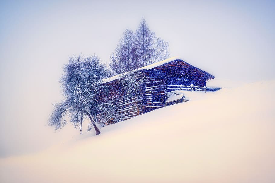 house, snow, winter, landscape, tree, light, snowflakes, nature HD wallpaper