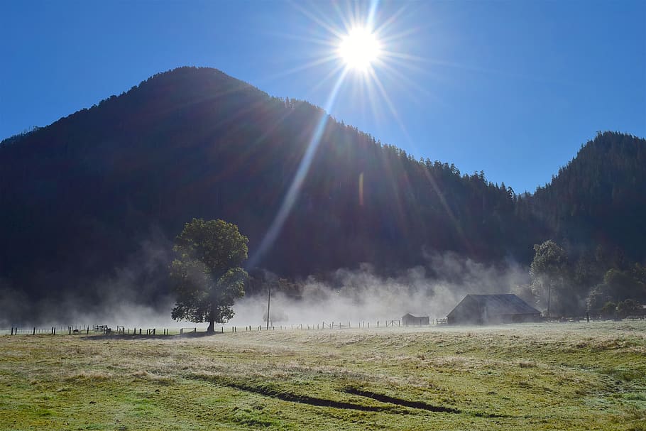mountain, sunlight, fog, mist, sky, blue, field, tree, green HD wallpaper