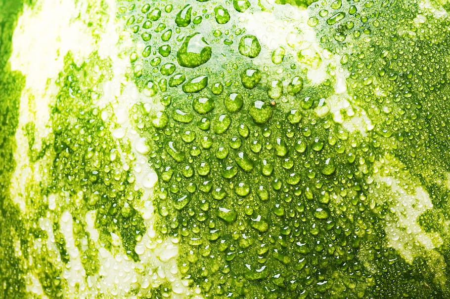 watermelon, close-up, closeup, diet, dieting, eating, food HD wallpaper