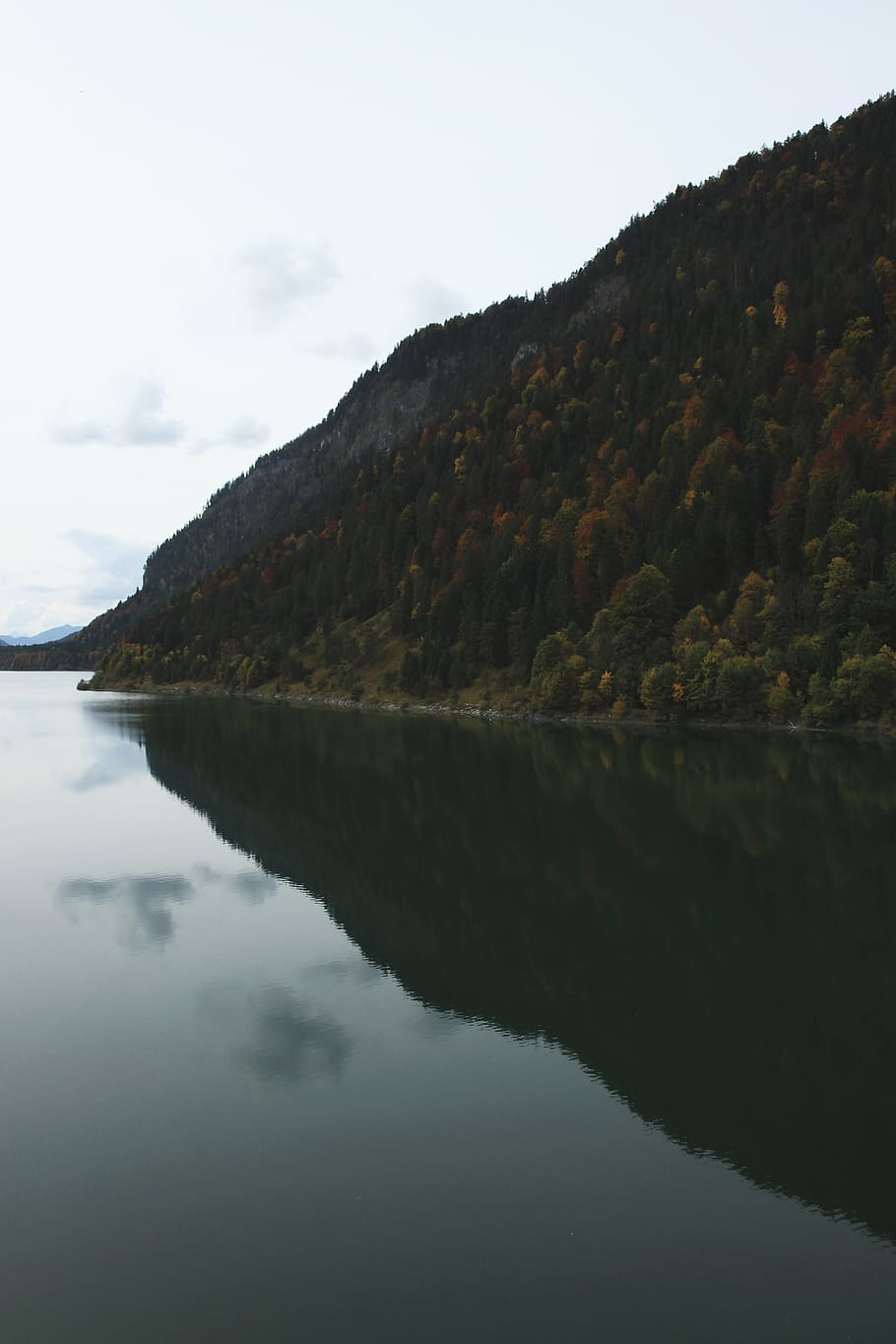 nature, water, outdoors, tree, fir, lake, mountain, plant, abies HD wallpaper