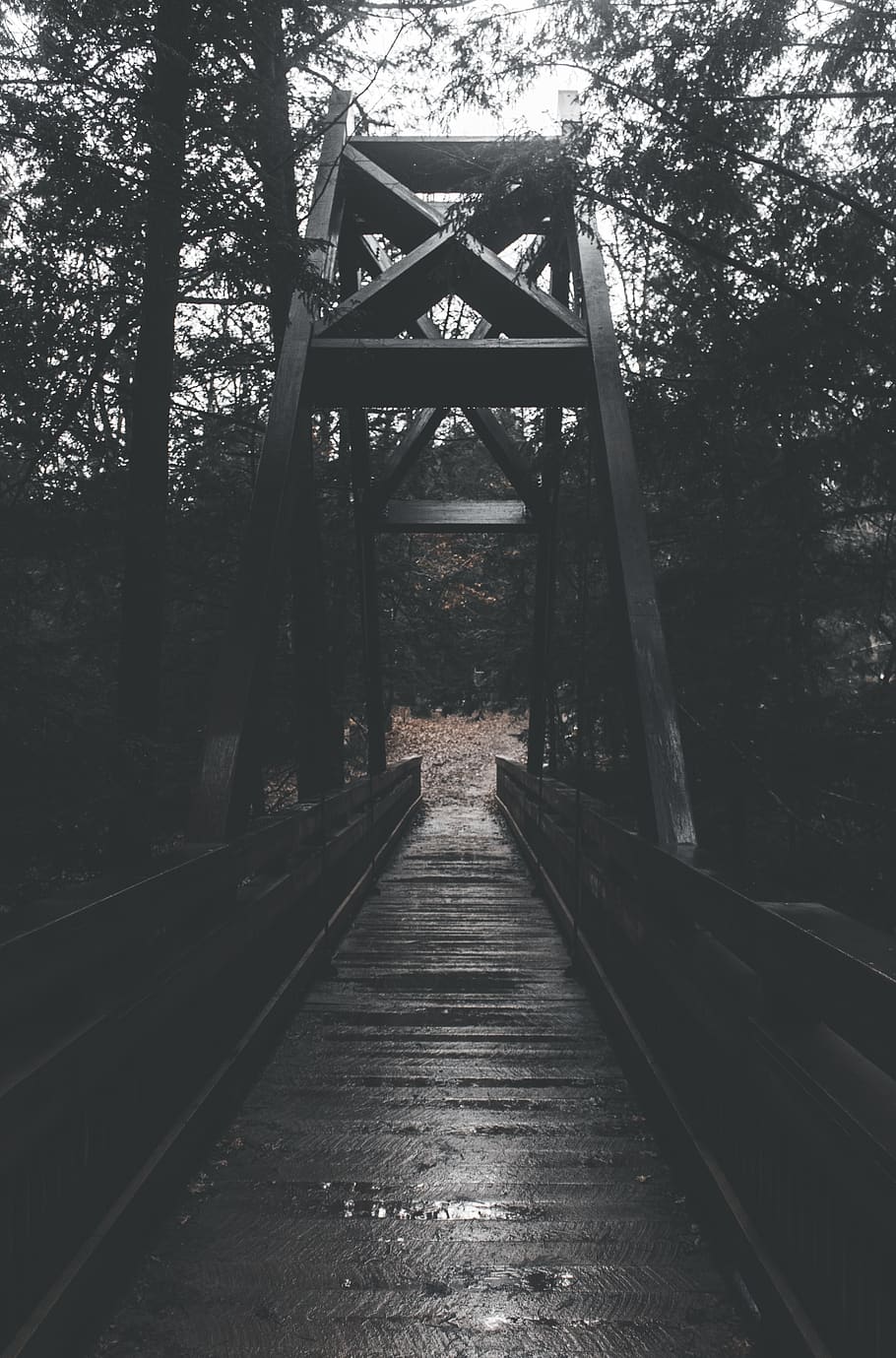 empty wooden bridge, tree, plant, the way forward, direction HD wallpaper