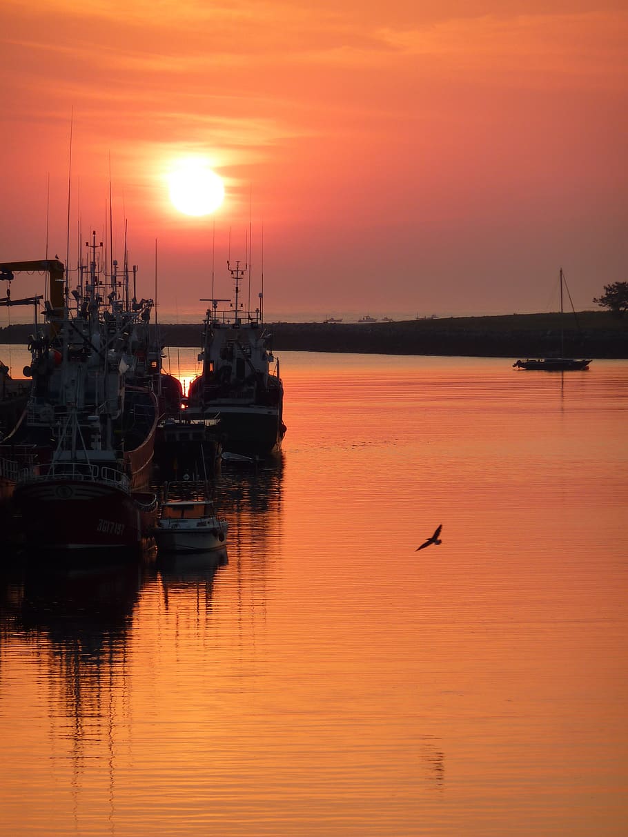 sunrise, boat, sea, reflection, morning, fisherman, water, sunset HD wallpaper