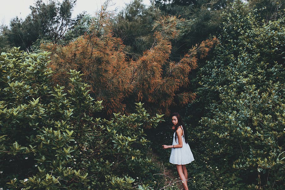 tree, plant, one person, young adult, young women, standing HD wallpaper