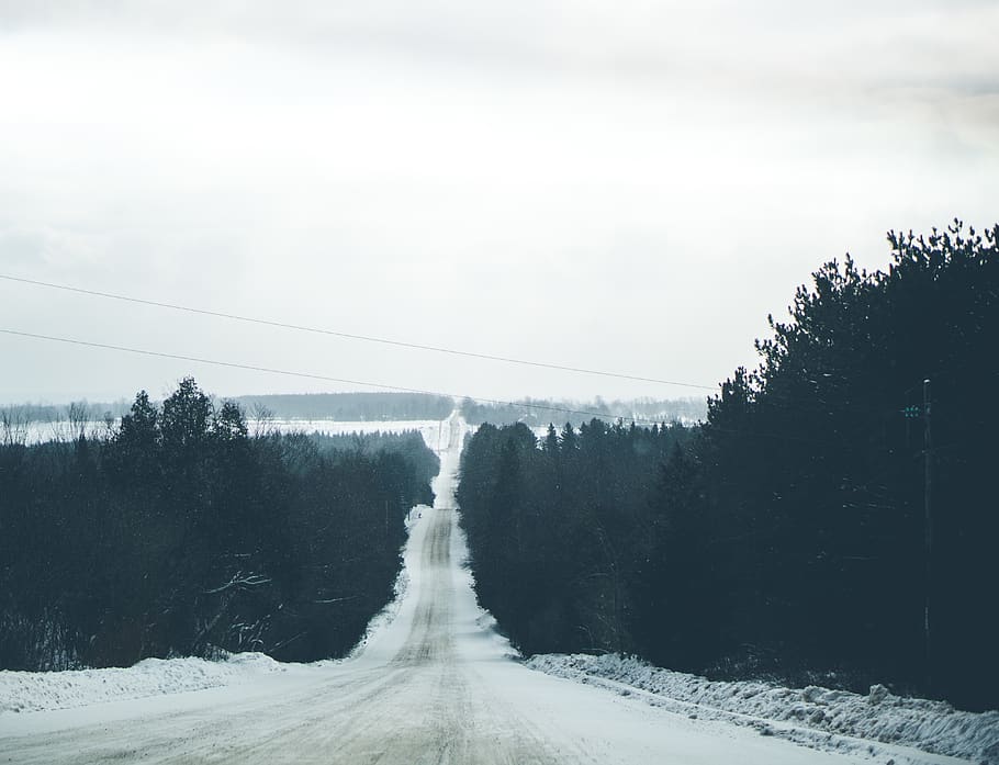 hill, road, snow, empty, trees, snowing, winter, alton, forest HD wallpaper