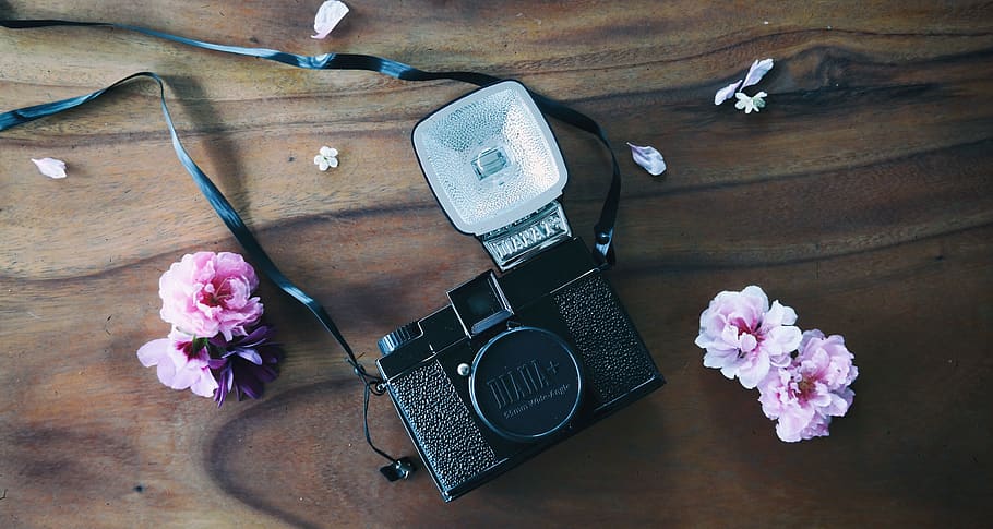 vintage, camera, old, flowers, love, photography, flowering plant HD wallpaper