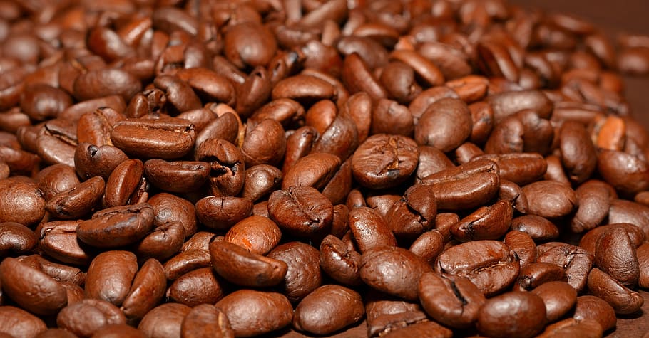 Coffee Beans, aroma, brew, caffeine, espresso, food, roasted HD wallpaper