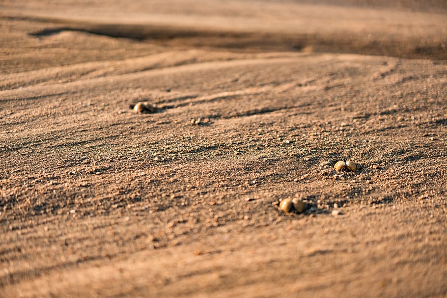 brown sand during daytime, selective focus, land, no people, nature HD wallpaper