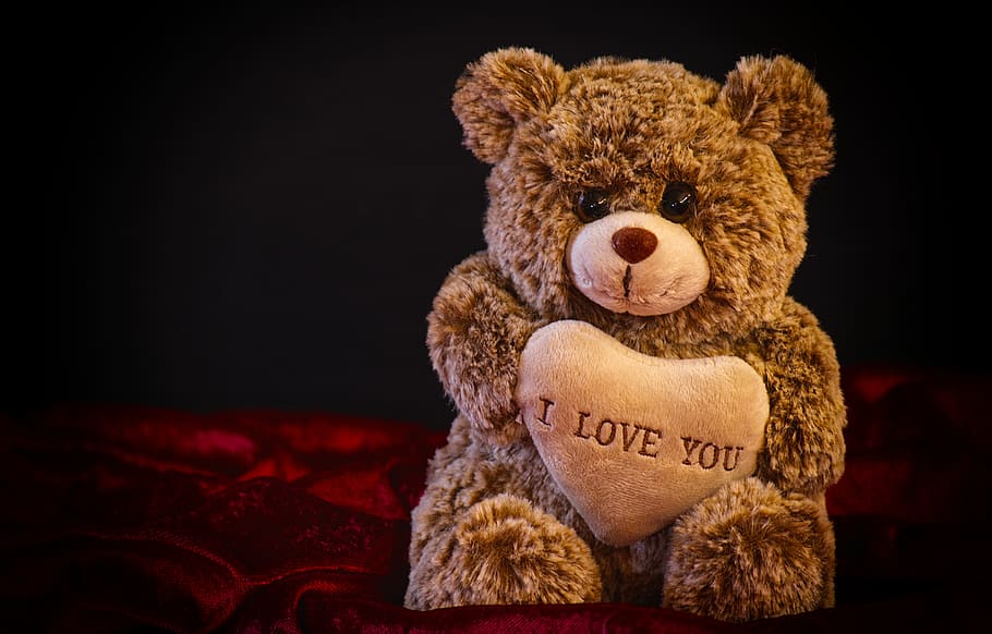 teddy, soft toy, love, stuffed animal, cute, teddy bear, valentine's day, HD wallpaper