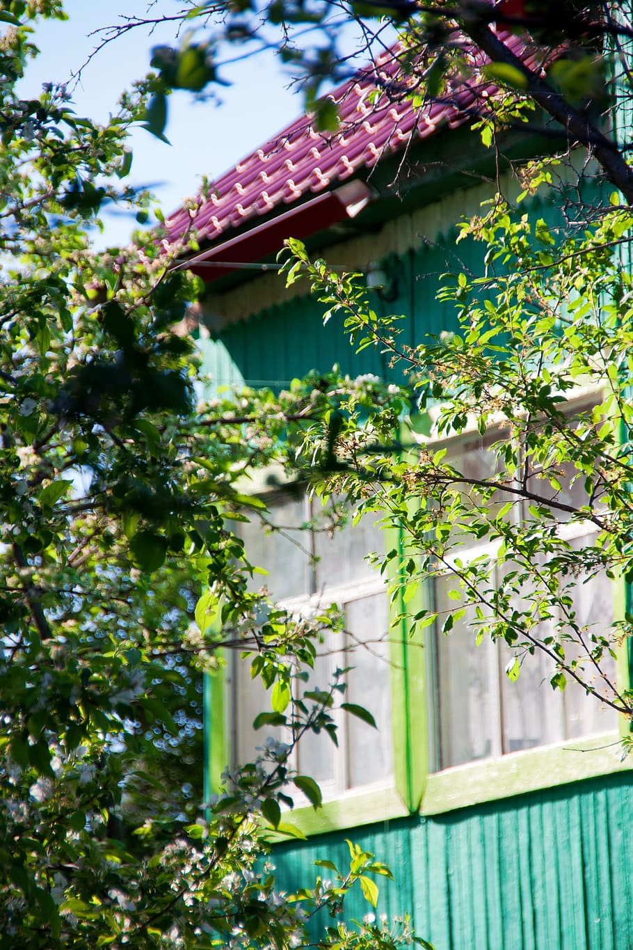 background, corner, cottage, foliage, garden, green, growth HD wallpaper