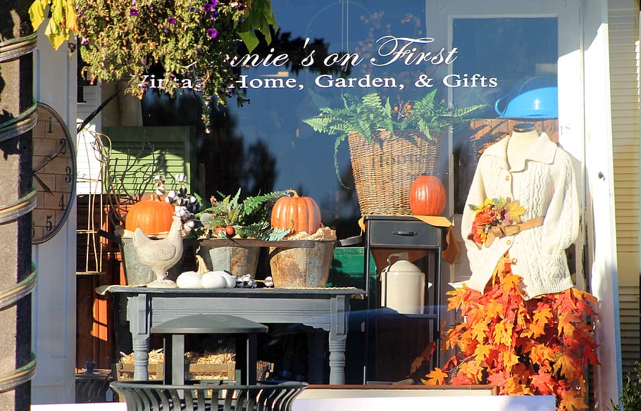 window, retail, fall, autumn, color, pumpkins, antiques, store HD wallpaper