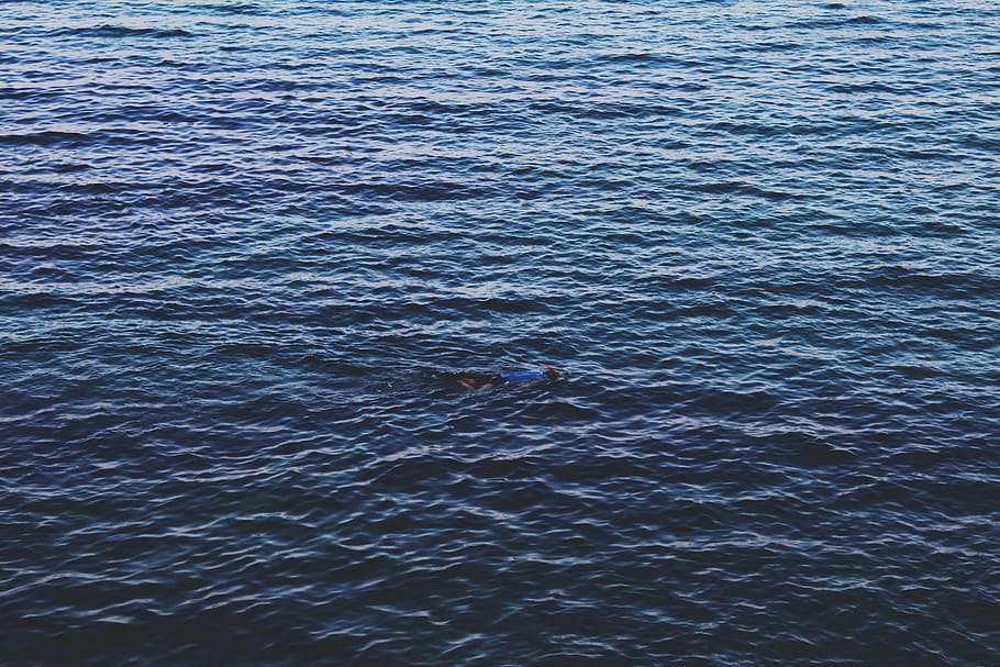 deep, sea, blue, water, swim, running, dense, fish, waterfront HD wallpaper