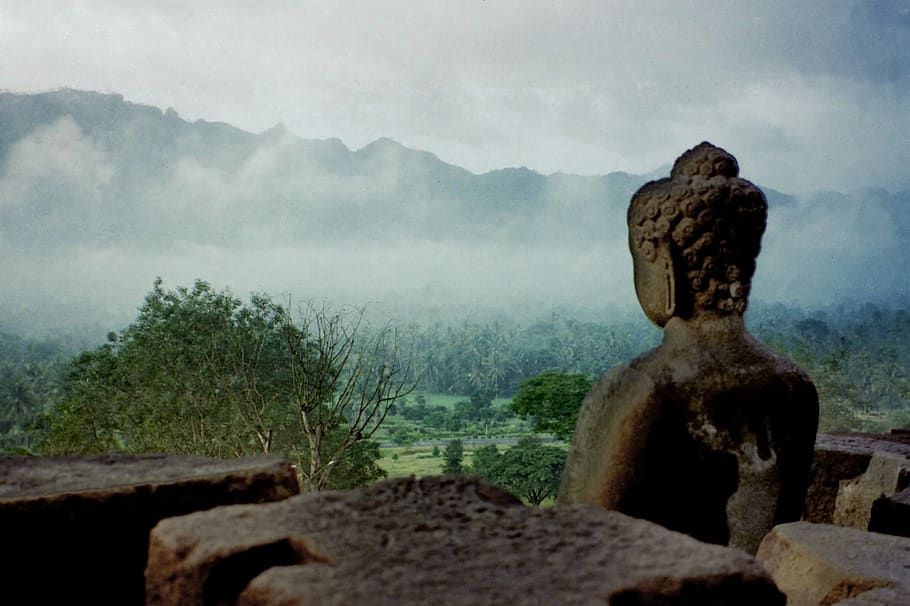 Gautama Buddha statue, fog, nature, tree, mountain, sky, sculpture HD wallpaper