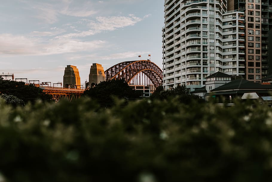 gray concrete building, city, sydney, office building, urban HD wallpaper