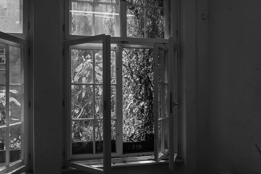 germany, berlin, empty, open window, trees, black and white HD wallpaper