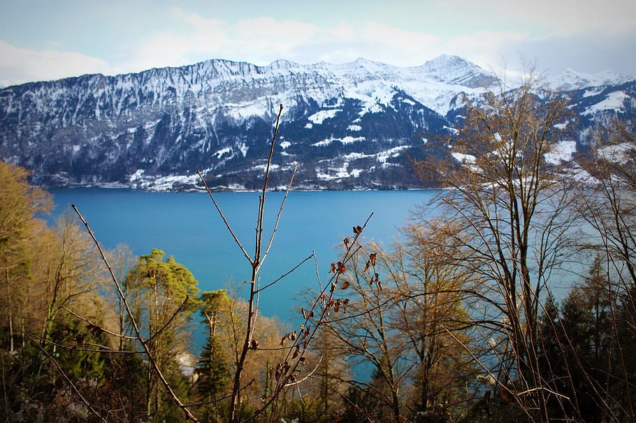 switzerland, lake thun, jorgetoei, cold, landscape, blue lake, HD wallpaper