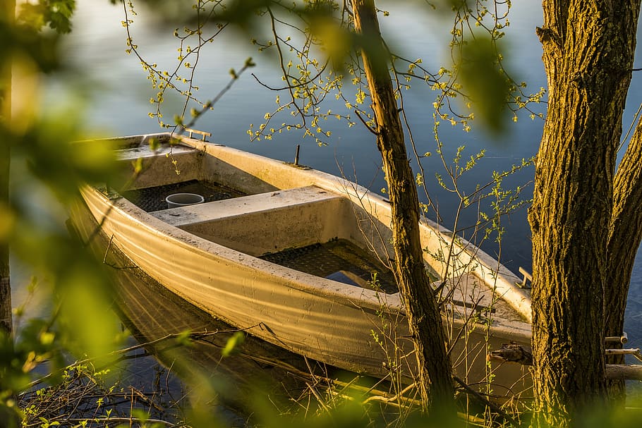 Brown Wooden Boat Near Tree, bark, dawn, dock, environment, nature HD wallpaper