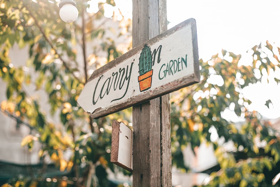 Carry on Garden Signage, daylight, direction, guidance, hanging HD wallpaper