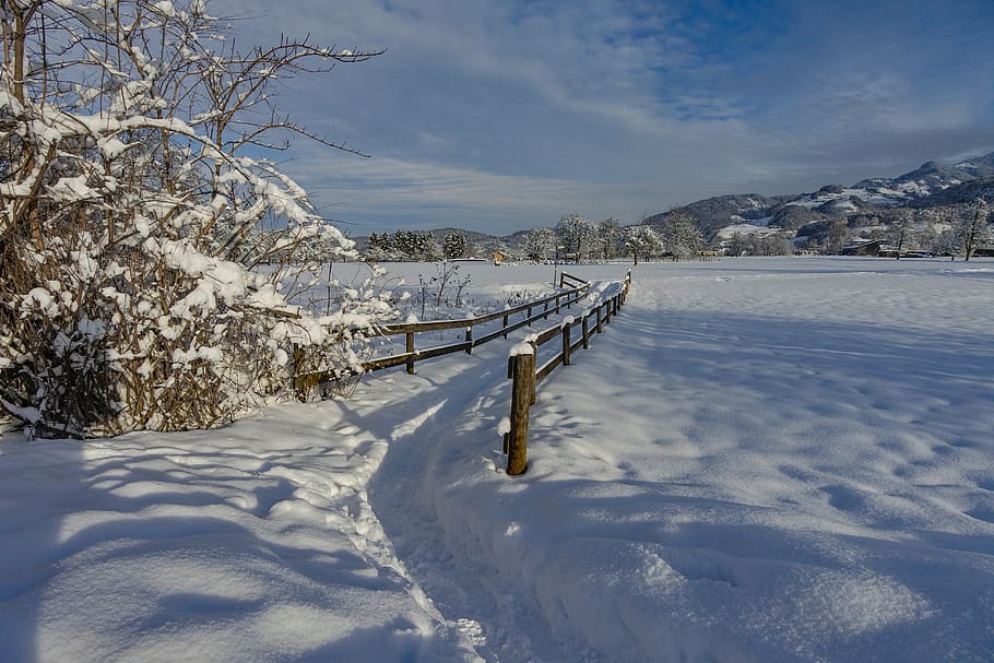 wintry, snow, winter, nature, snowy, white, snow landscape HD wallpaper