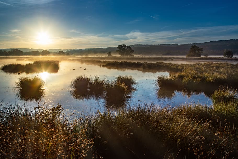 sunrise, landscape, nature, sky, water, fog, sunlight, lake HD wallpaper