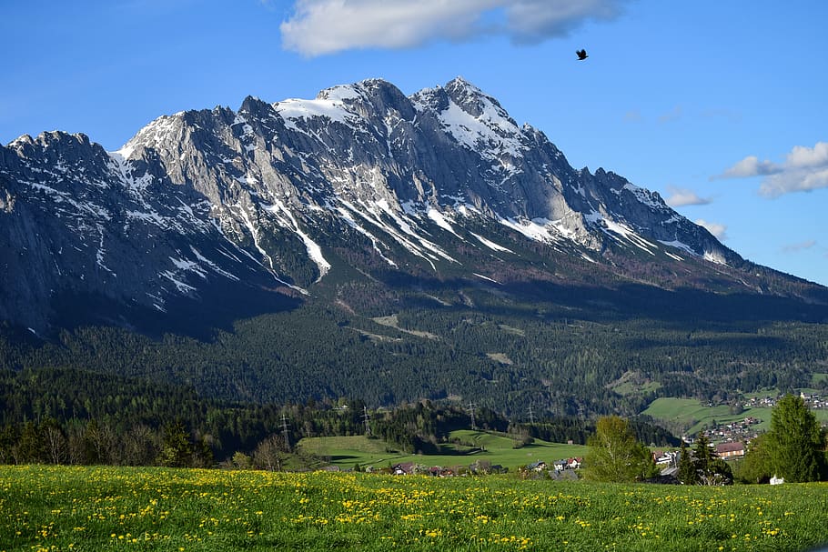 alps, mountains, bird, snow, landscape, beauty in nature, environment HD wallpaper