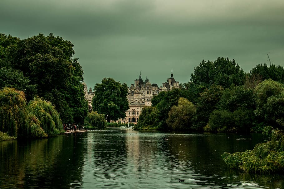 united kingdom, london, st james's park, st james park, tree, HD wallpaper