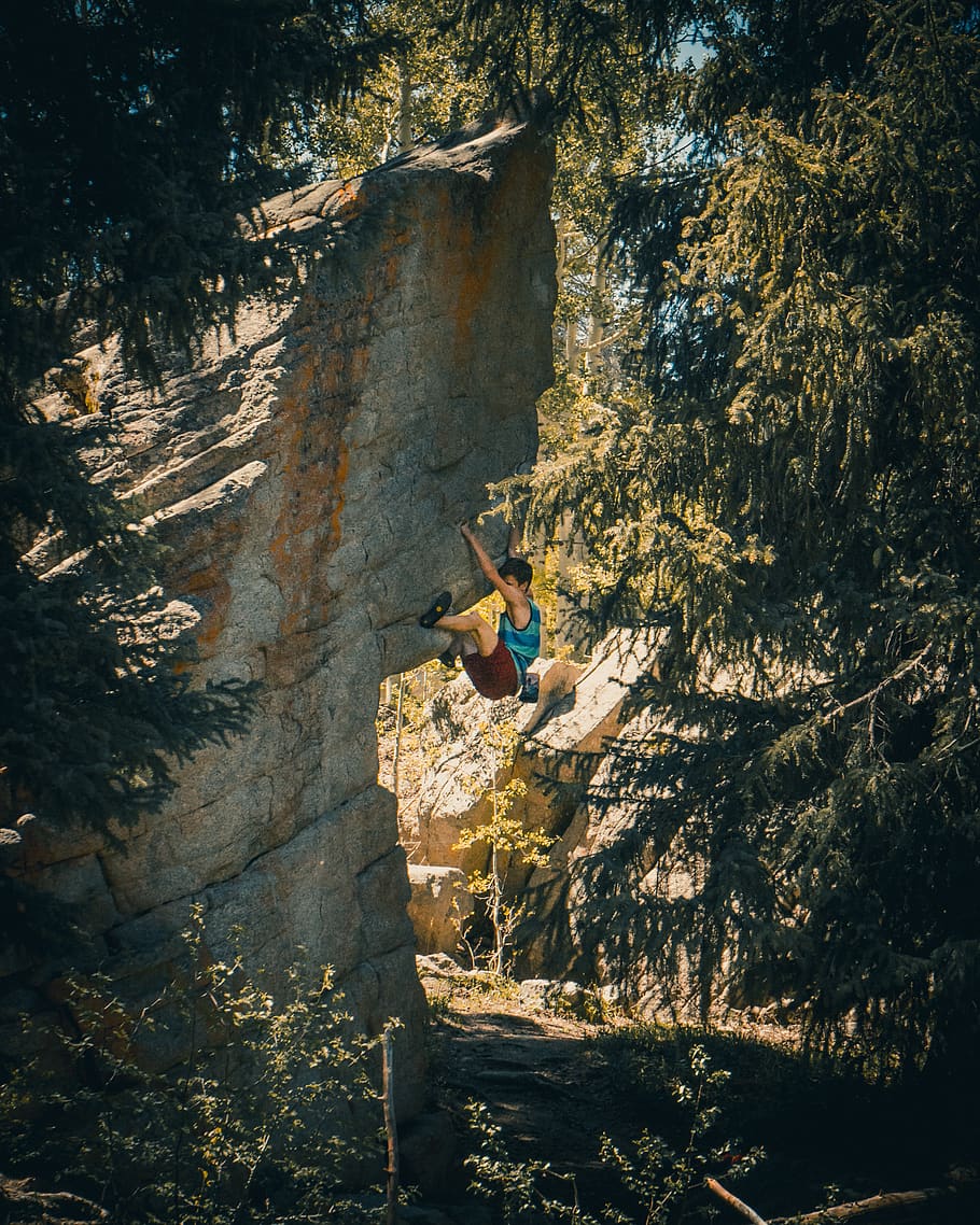 climbing, boulder, trees, forest, leisure activity, one person HD wallpaper