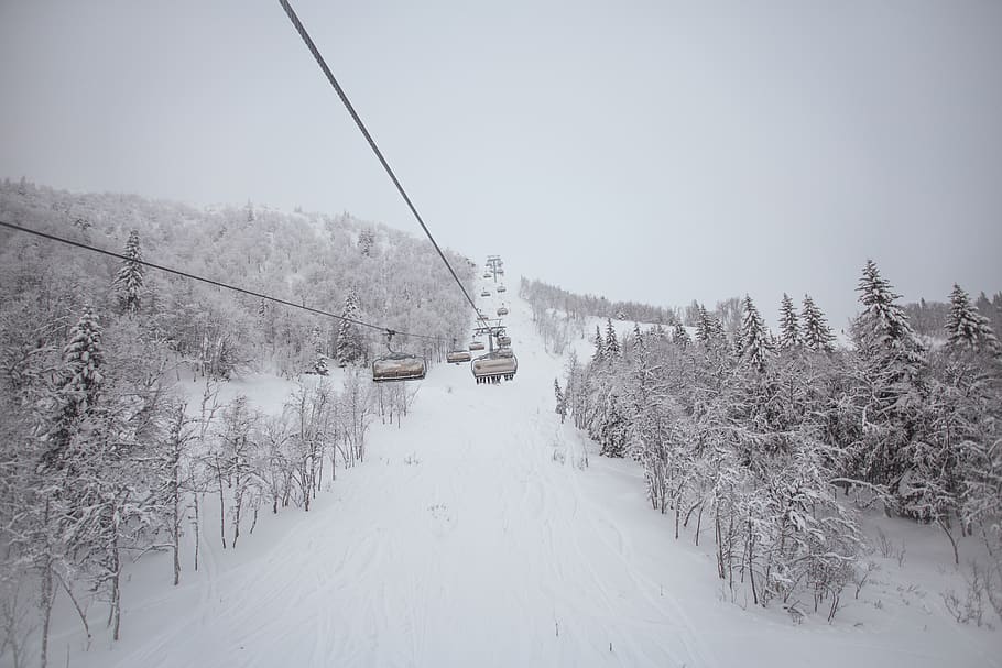 sweden, åre, snow, cold temperature, winter, tree, cable, plant HD wallpaper