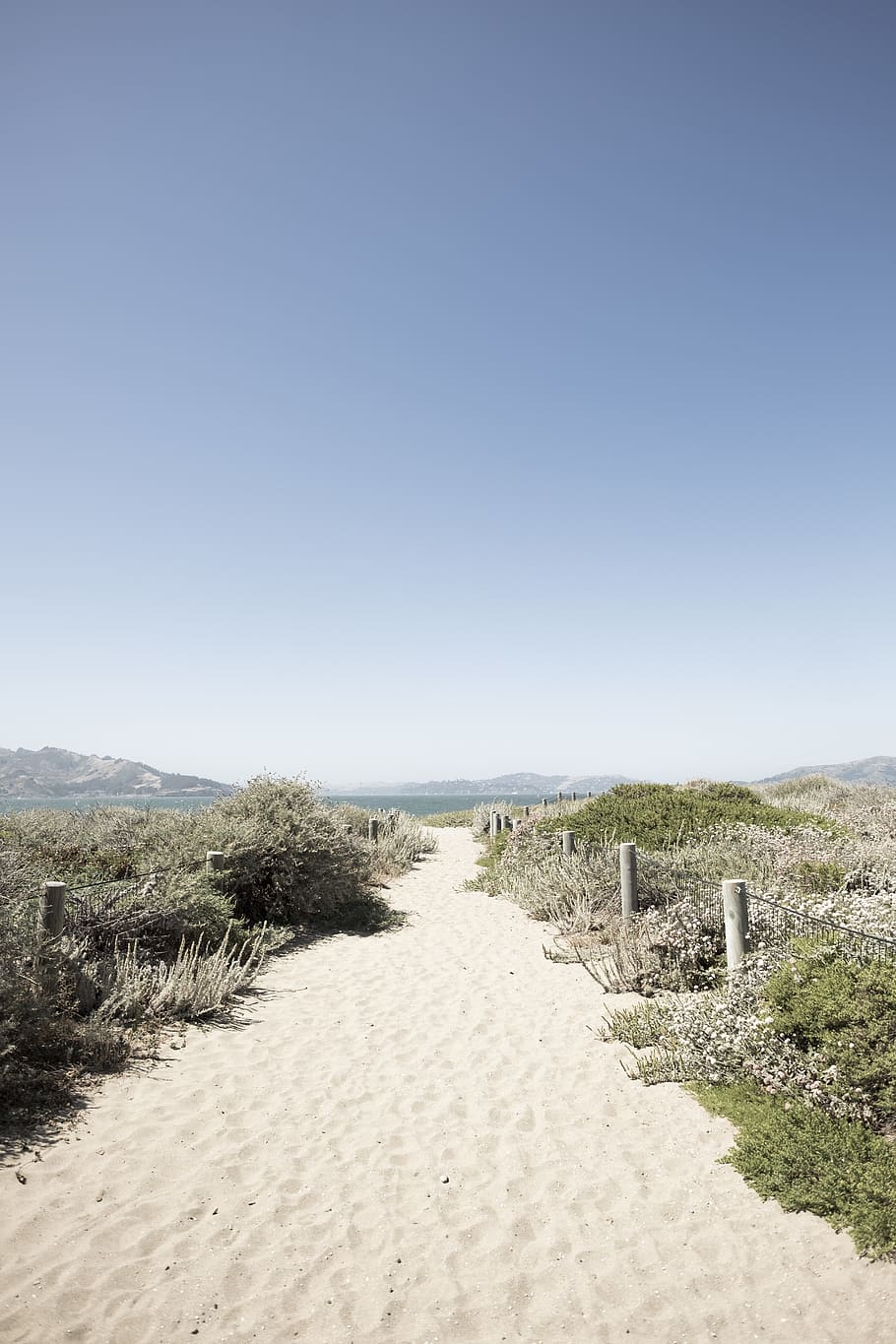 path and green leafed plant, nature, outdoors, soil, ground, sand HD wallpaper
