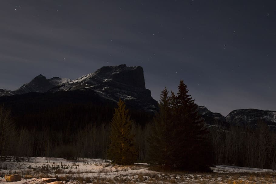 mountain, snow, cold, starry, night time, rocky, tree, jasper HD wallpaper