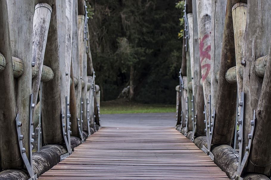brazil, parque barigui, the way forward, wood - material, direction HD wallpaper